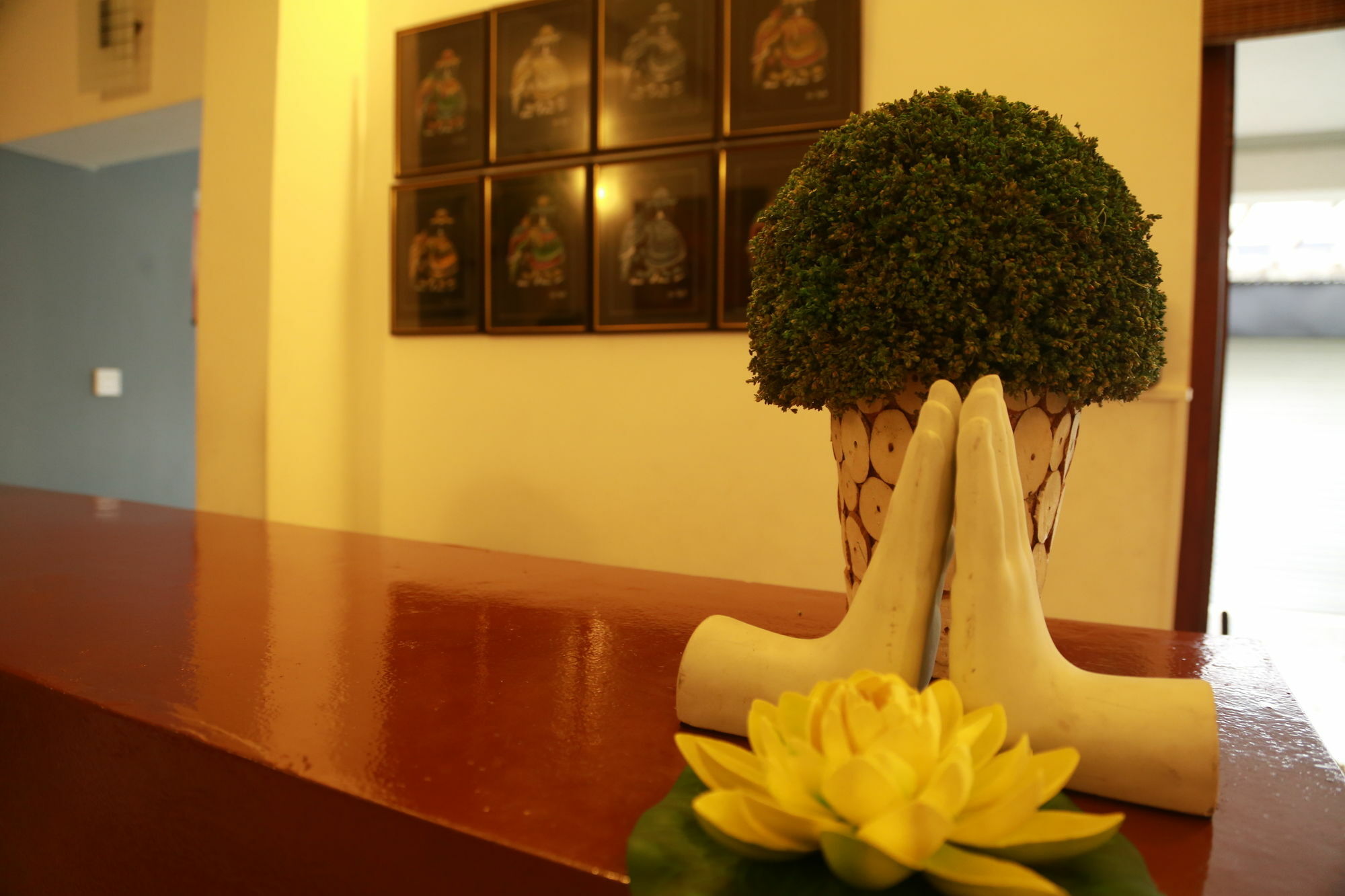 Hotel The Canes Boutique 4*
